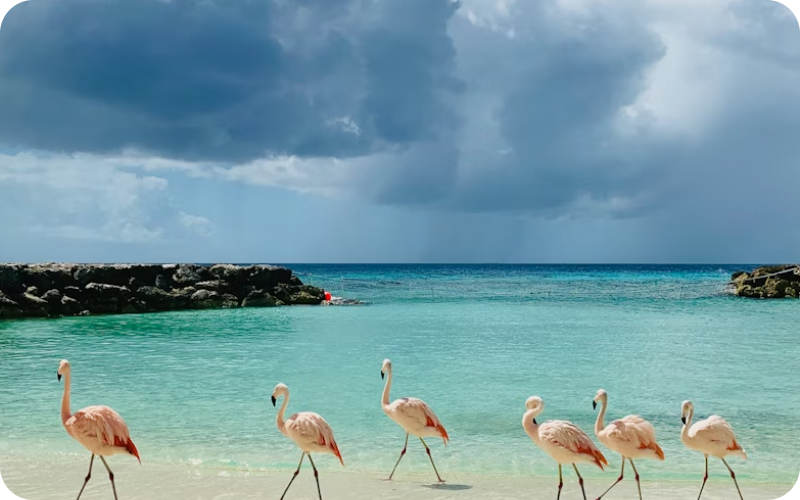Aruba eSIM data plan for travel & business | microesim instant activation