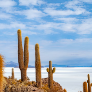 Bolivia eSIM data plan for travel & business | microesim instant activation