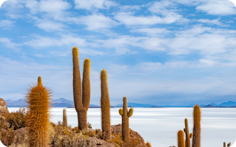 Bolivia eSIM data plan for travel & business | microesim instant activation