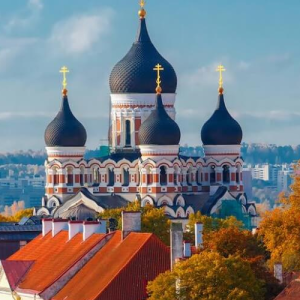 Estonia eSIM data plan for travel & business | microesim instant activation