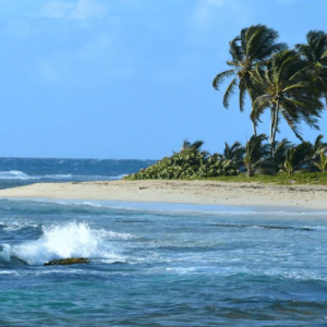 Guadeloupe eSIM data plan for travel & business | microesim instant activation