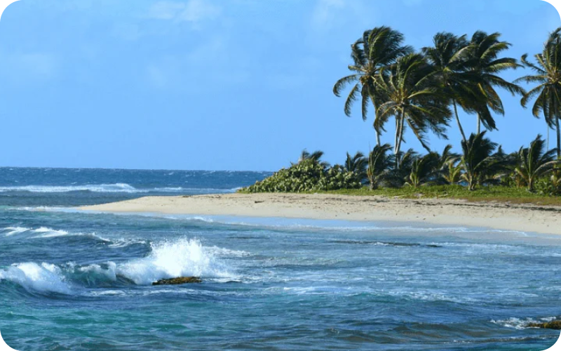 Guadeloupe eSIM data plan for travel & business | microesim instant activation