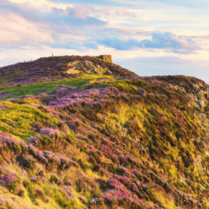 Isle of Man eSIM data plan for travel & business | microesim instant activation