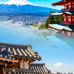 Japan & South Korea eSIM data plan for travel & business | microesim instant activation