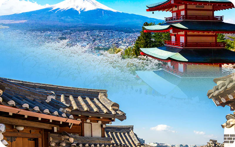 Japan & South Korea eSIM data plan for travel & business | microesim instant activation