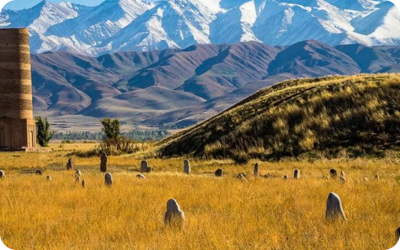 Kyrgyzstan eSIM data plan for travel & business | microesim instant activation