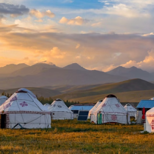 Mongolia eSIM data plan for travel & business | microesim instant activation