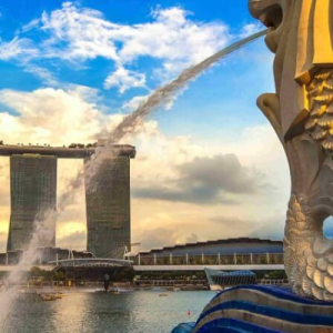 Singapore eSIM data plan for travel & business | microesim instant activation