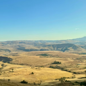 Swaziland eSIM data plan for travel & business | microesim instant activation