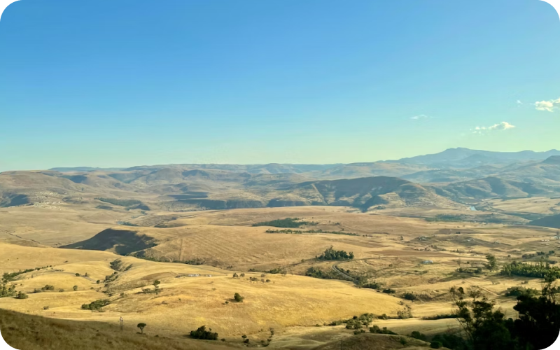 Swaziland eSIM data plan for travel & business | microesim instant activation